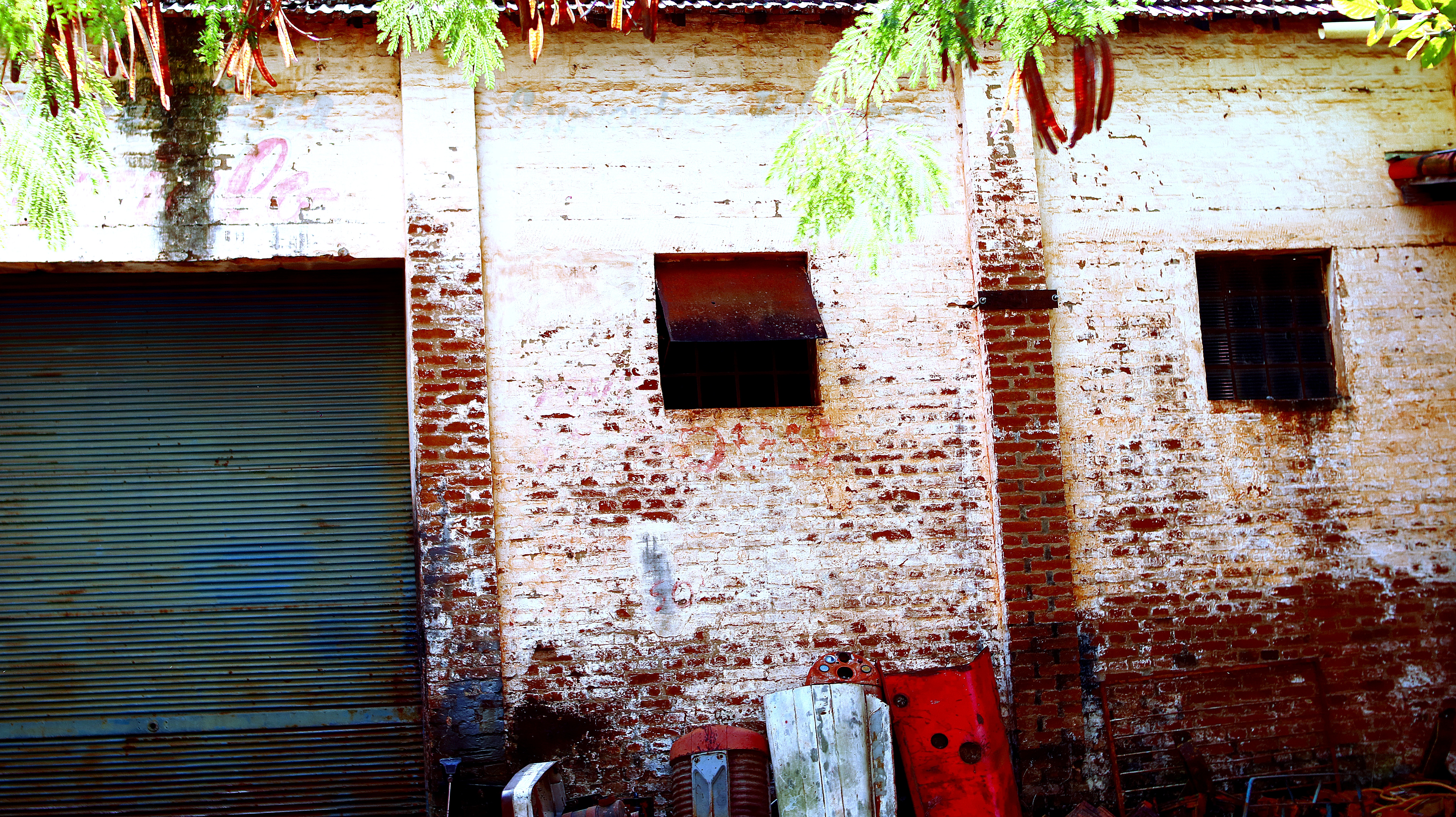 Duh Viana - Cantor Sertanejo